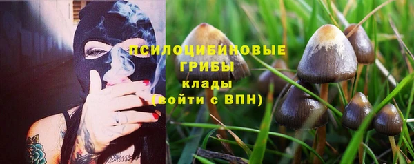 гидра Вязьма