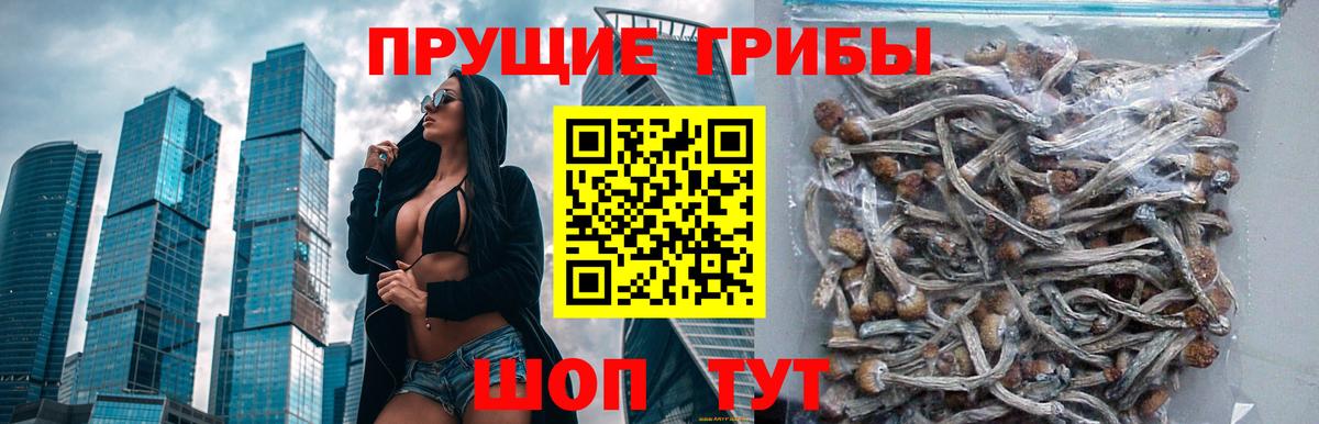 Галлюциногенные грибы Psilocybine cubensis  Галлюциногенные грибы GOLDEN TEACHER  Вход с VPN  Серов 